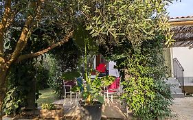 La Maison sous l'olivier