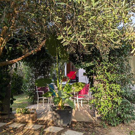 Villa La Maison sous l'olivier à Morieres-les-Avignon Extérieur photo
