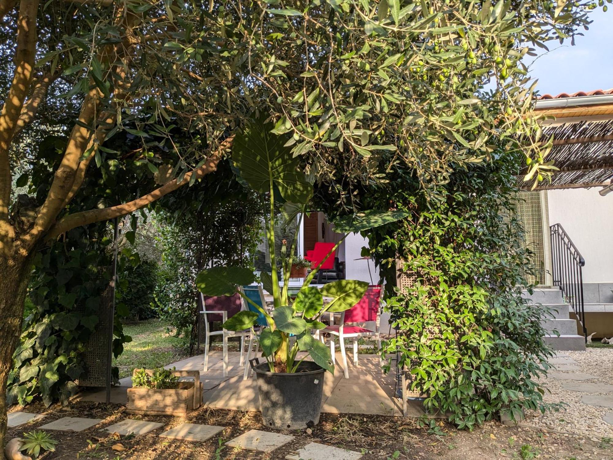 Villa La Maison sous l'olivier à Morieres-les-Avignon Extérieur photo